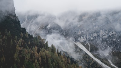 鸟瞰摄影与雾山山脉和森林
